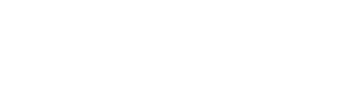 Dev n Dock logo